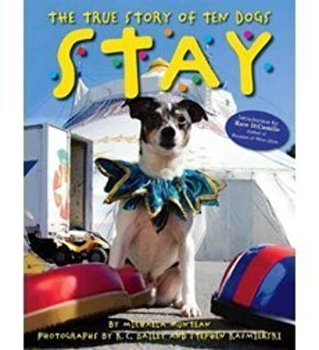 Stay, The True Story of Ten Dogs (Paperback)