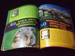 101 Animal Babies