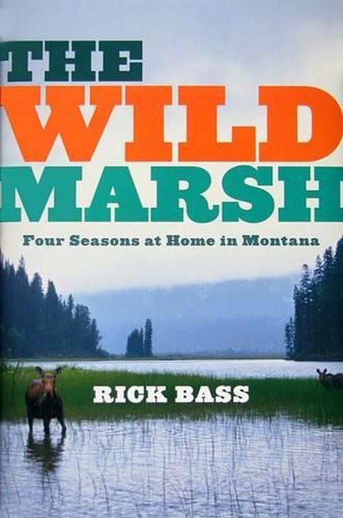 Wild Marsh