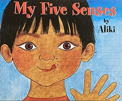My Five Senses