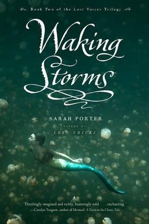 Waking Storms: Lost Voice Book 2