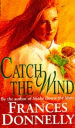 Catch the Wind