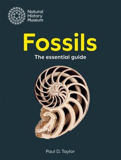 Fossils