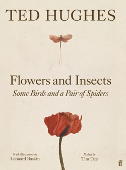 Flowers and Insects, Some Birds and a Pair of Spiders