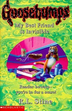 My Best Friend is Invisible