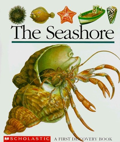 The Seashore