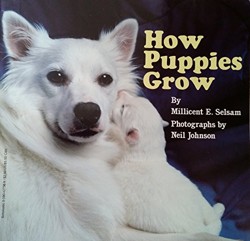 How Puppies Grow