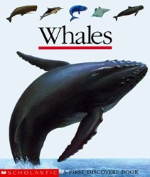 Whales