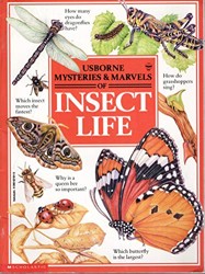 Title: Mysteries Marvels of Insect Life Usborne
