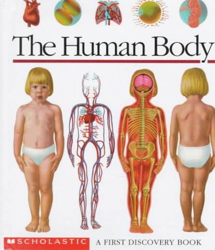 The Human Body