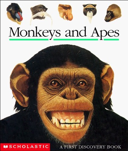 Monkeys and Apes