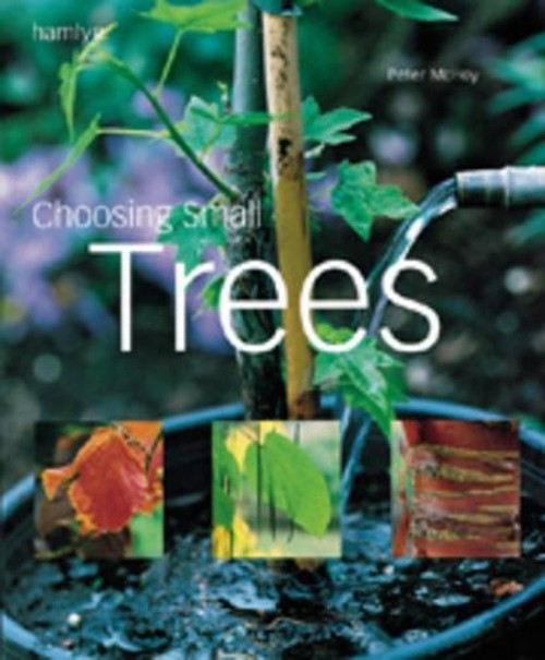 Choosing a Small Tree