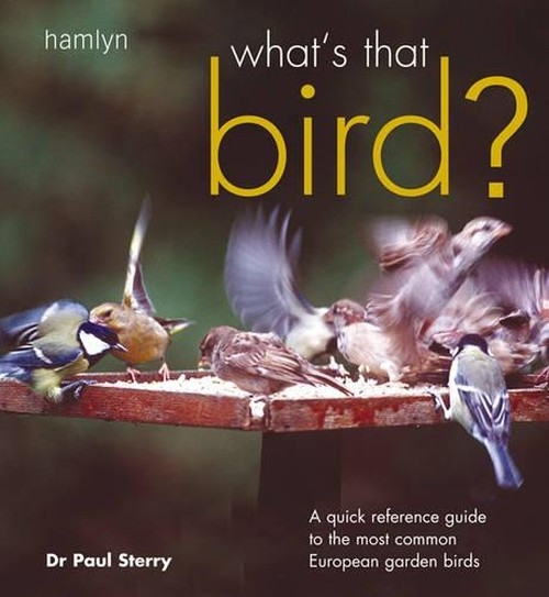 What's That Bird?