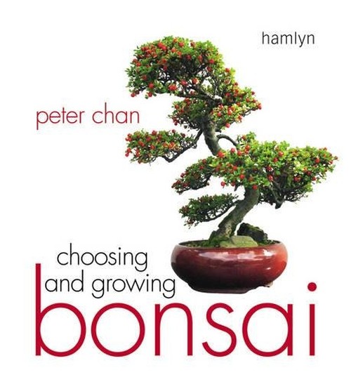 Choosing & Growing Bonsai