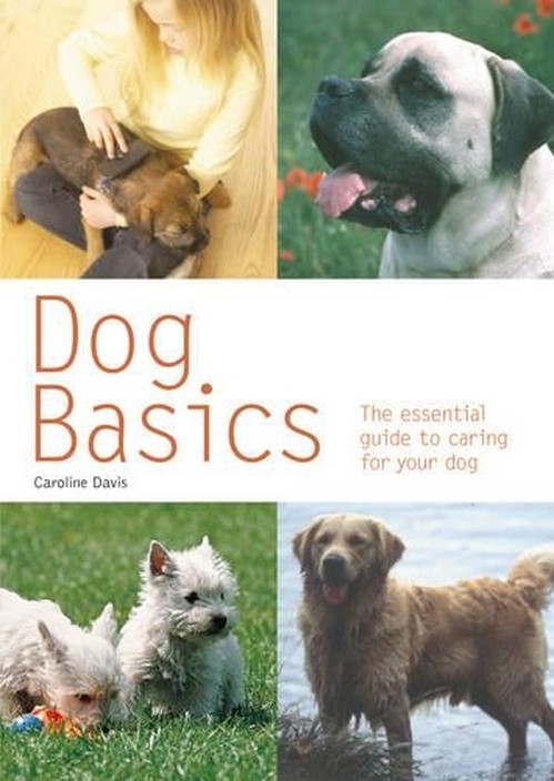 Dog Basics