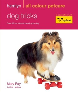 Dog Tricks