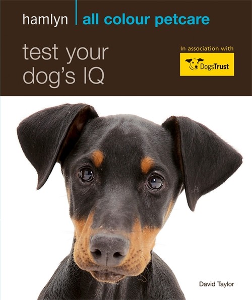 Test Your Dog's IQ