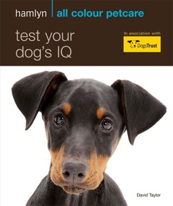 Test Your Dog's IQ