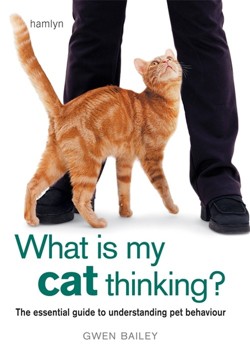 What is my Cat Thinking?