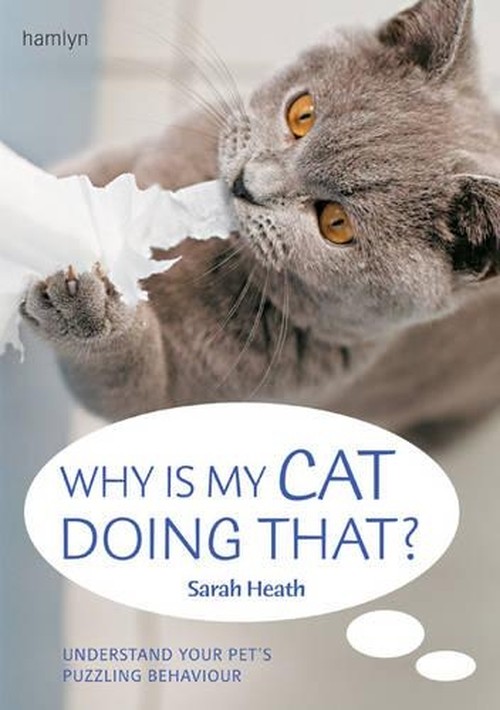 Why Is My Cat Doing That?