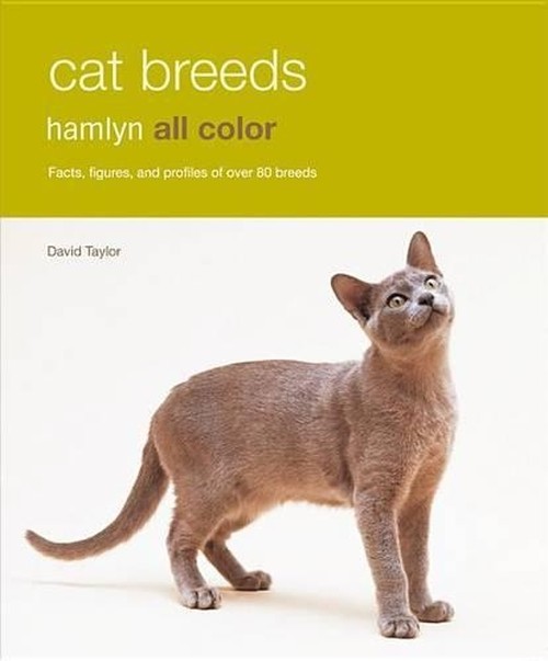Cat Breeds