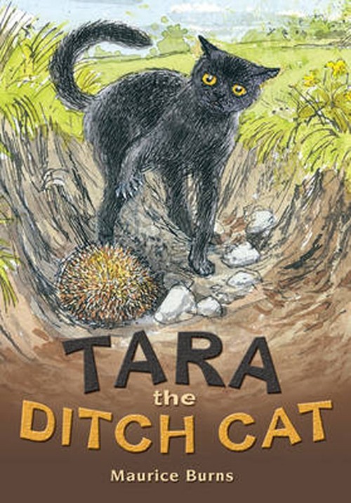POCKET TALES YEAR 4 TARA THE DITCH CAT