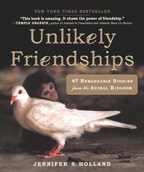 Unlikely Friendships