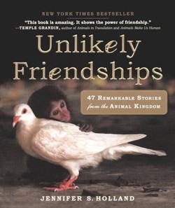 Unlikely Friendships