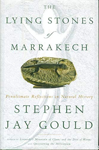 The Lying Stones of Marrakech