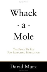 Whack-A-Mole: The Price We Pay for Expecting Perfection