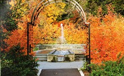 Morris Arboretum, of the University of Pennsylvania, Through the Lens of Paul W. Meyer