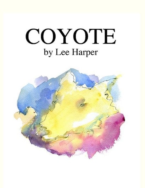 Coyote