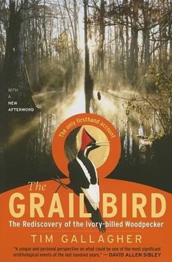 The Grail Bird