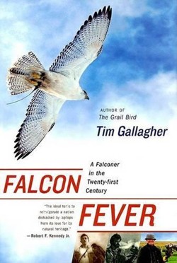 Falcon Fever