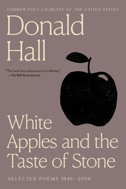 White Apples And The Taste Of Stone