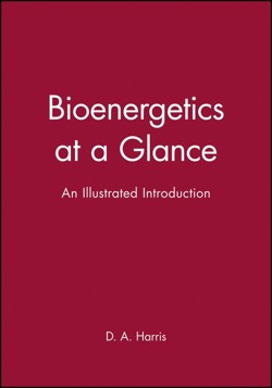 Bioenergetics at a Glance