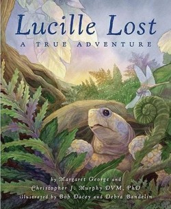 Lucille Lost