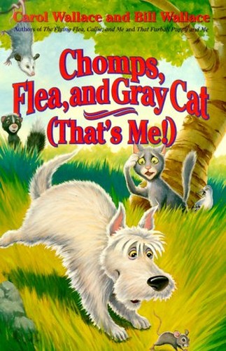 Chomps, Flea and Gray Cat