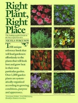 Right Plant, Right Place