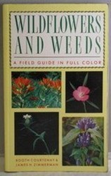 Wildflowers and Weeds
