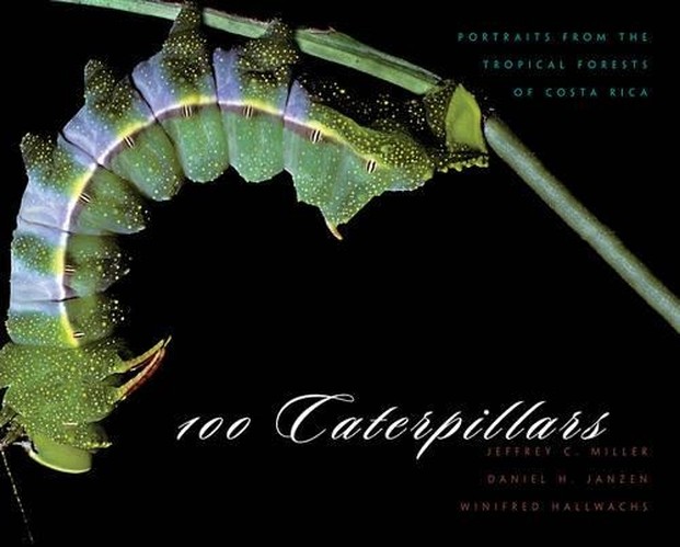 100 Caterpillars