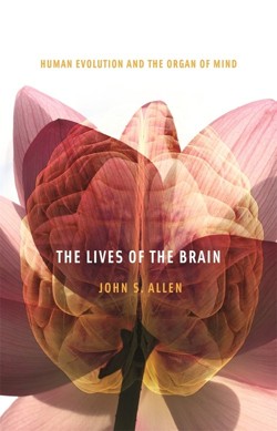 The Lives of the Brain