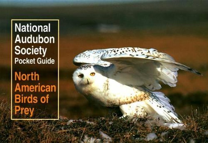 North American Birds of Prey