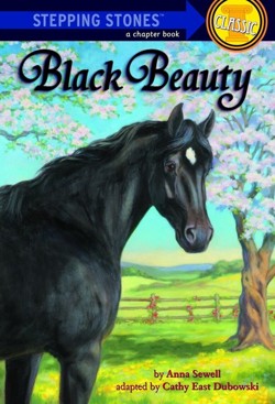 Step Up Classics Black Beauty