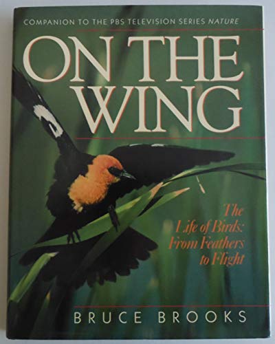 On the Wing