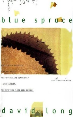 Blue Spruce