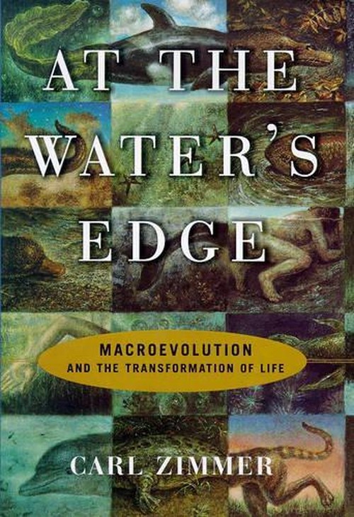 At the Water's Edge