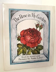 The Rose in My Garden