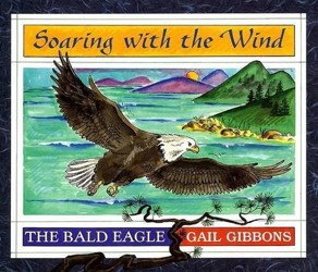 Soaring with the Wind