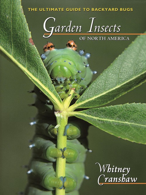 Garden Insects of North America